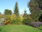 Image 4 - 