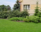 Image 7 - 